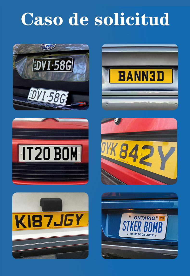 Impresora de matrículas